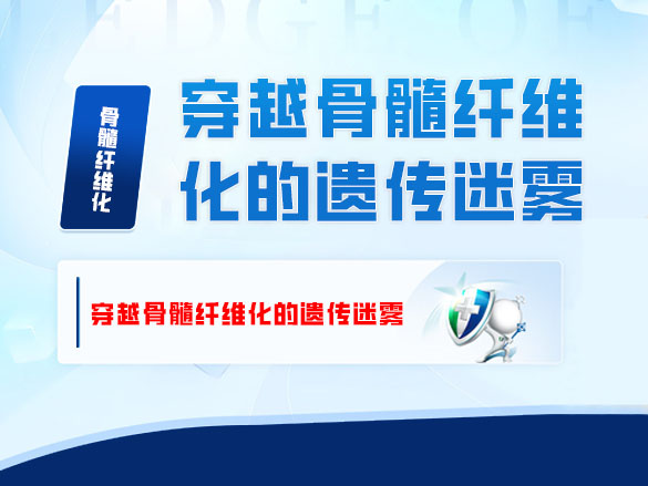 穿越骨髓纤维化的遗传迷雾