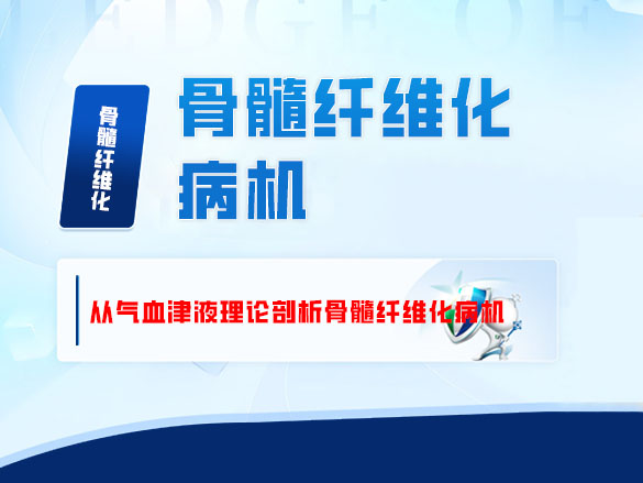 从气血津液理论剖析骨髓纤维化病机