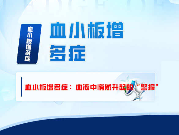 血小板增多症：血液中悄然升起的“警报”