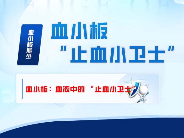 血小板：血液中的 “止血小卫士”