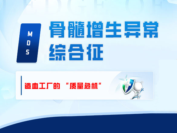 骨髓增生异常综合征：造血工厂的 “质量危机”