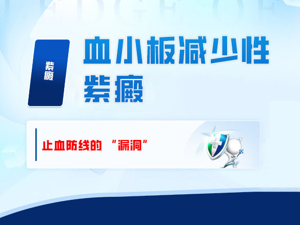 血小板减少性紫癜：止血防线的 “漏洞”