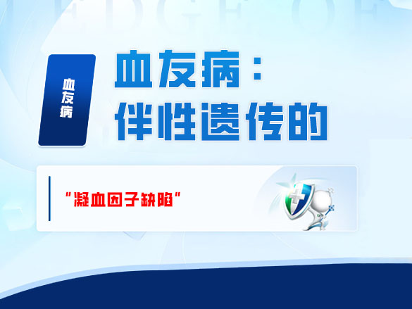 血友病：伴性遗传的 “凝血因子